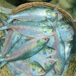 ৮ পিস ৫ কেজি ২০০০ টাকা