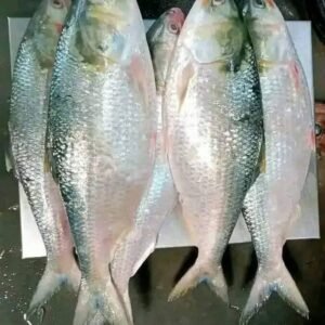 ৫ পিস ৫ কেজি ২৮০০ টাকা