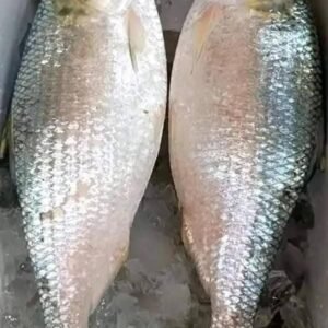 ২ পিস ৫ কেজি ৩৩০০ টাকা